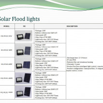 Solar Street Light